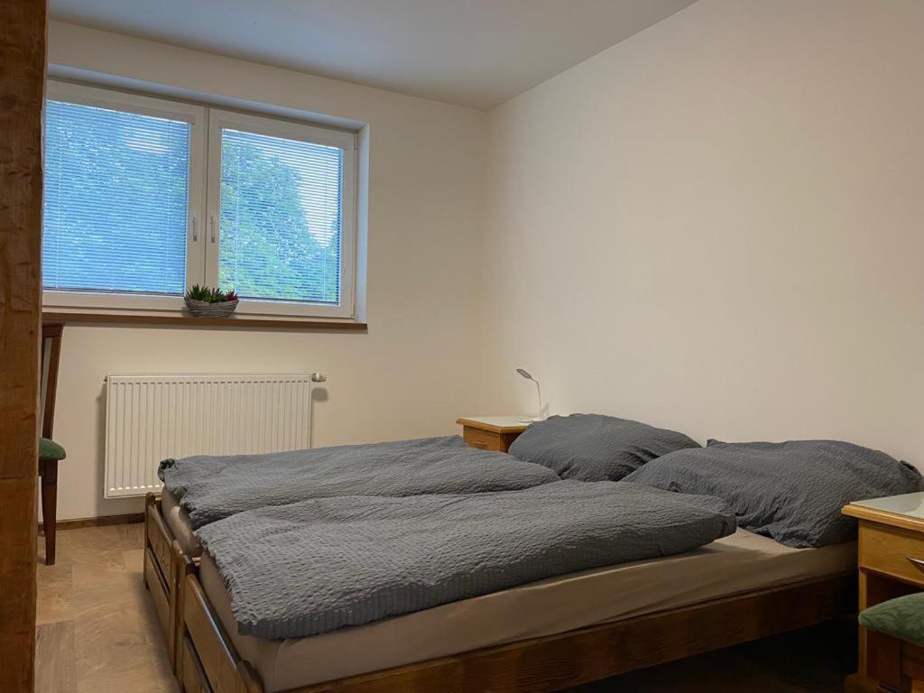Penzion Morina Exteriör bild